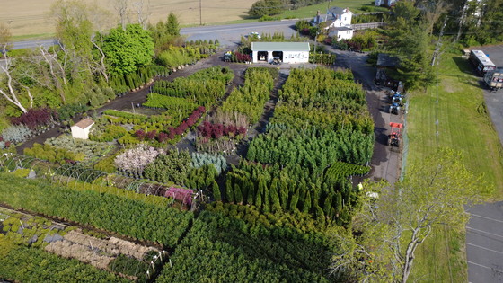 Aerial drone view of Landex Nursery's colorful rows of trees and shrubs in Freehold, NJ