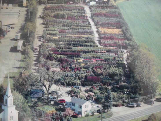 Aerial view of Landex Nursery's colorful rows of trees and shrubs along Howell Road in Freehold, New Jersey